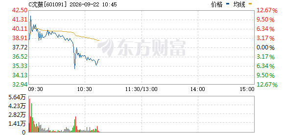 沈鼓股价大幅震荡 海外市场如何抑制新股异常波动